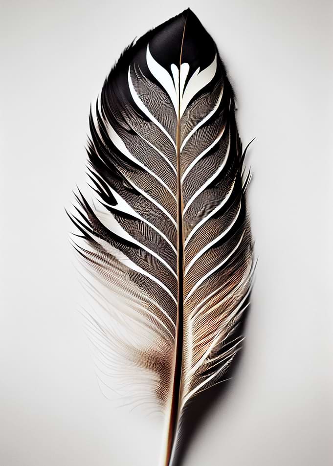colorful feather