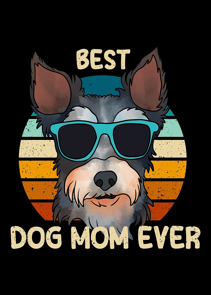 Mini Schnauzer