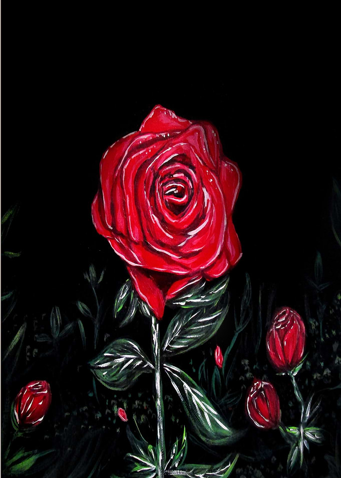 Night Rose