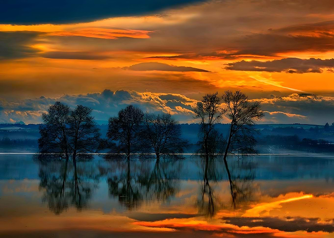 Reflector