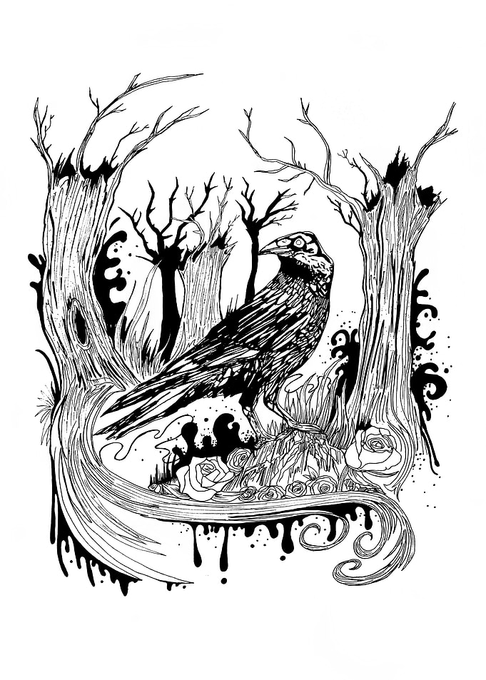 The Black Crow