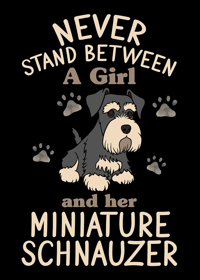 Mini Schnauzer