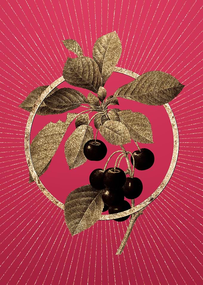 Cherry on Viva Magenta