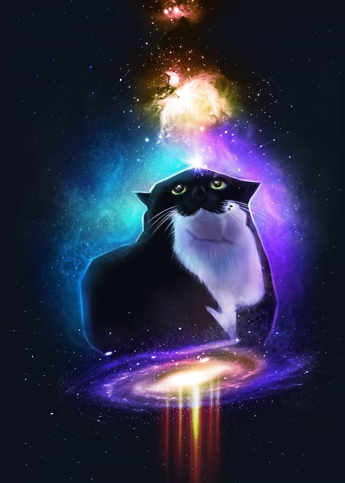 Maxwell The Space Cat