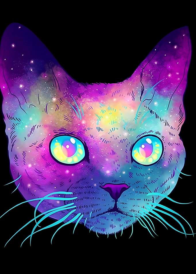 Galaxy Cat