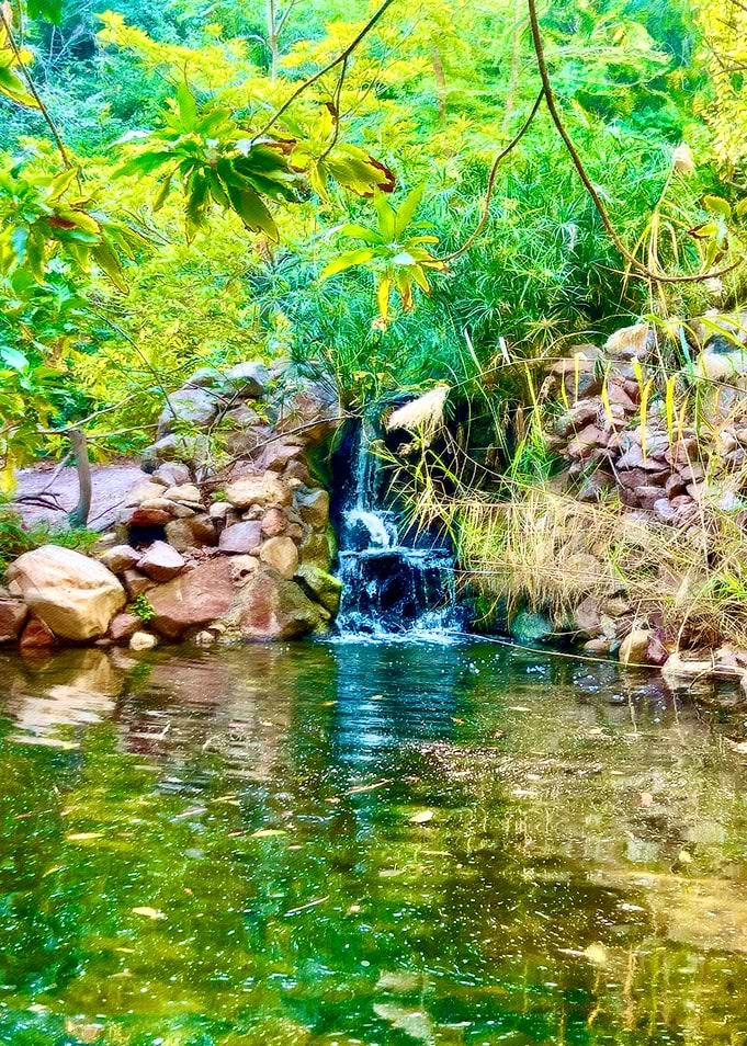 The Vibrant Waterfall