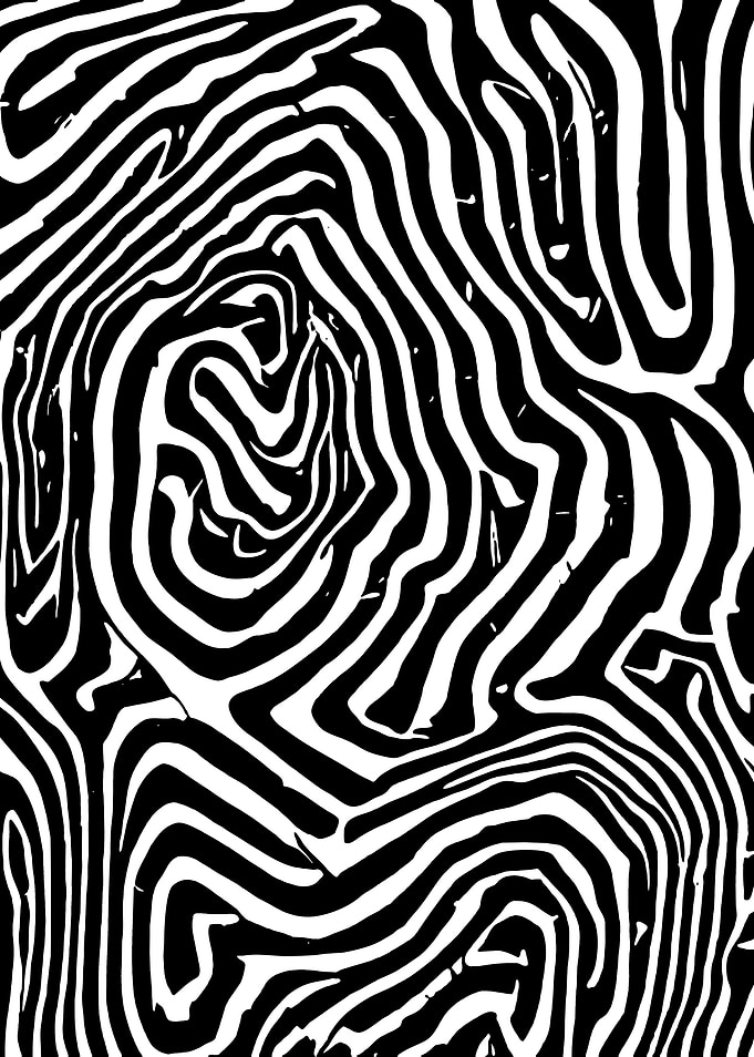 Black and White Abstract