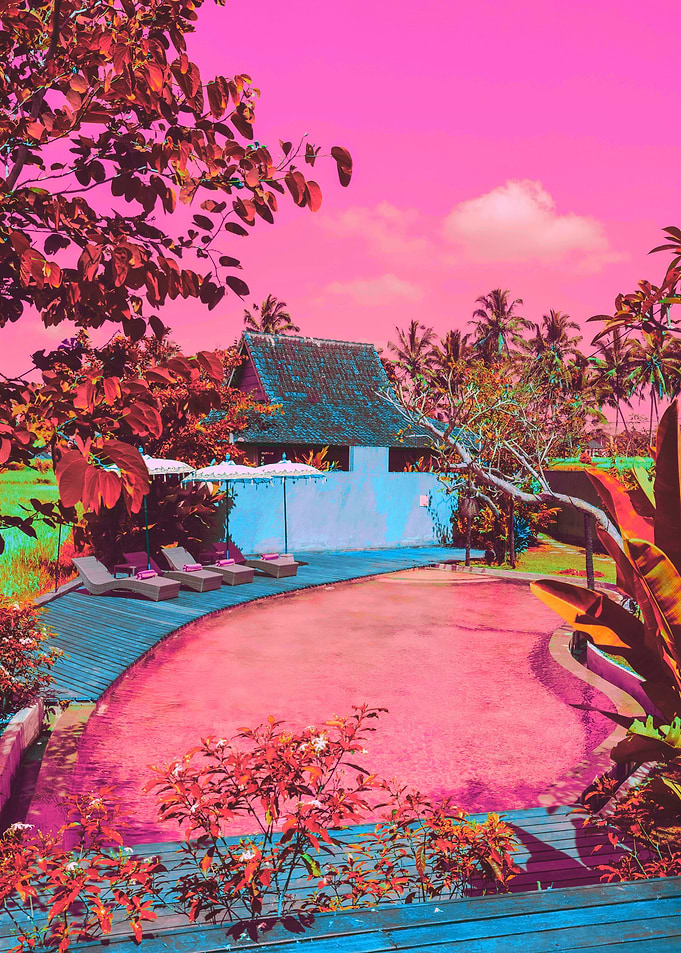 Momentary Bliss