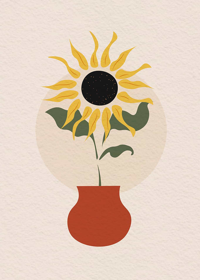 Beautiful sunflower