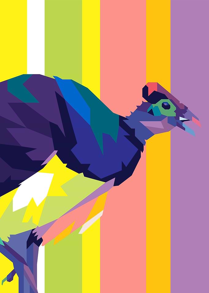 Maleo Bird Beautifull