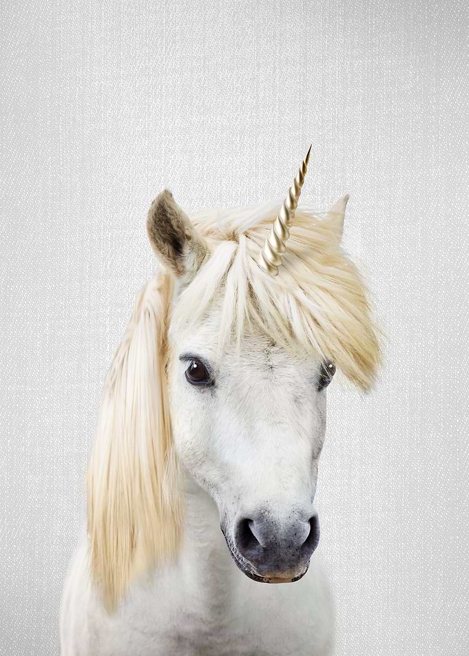 Unicorn Colorful