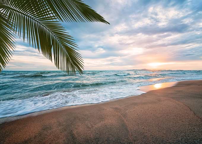 Tropical Beach
