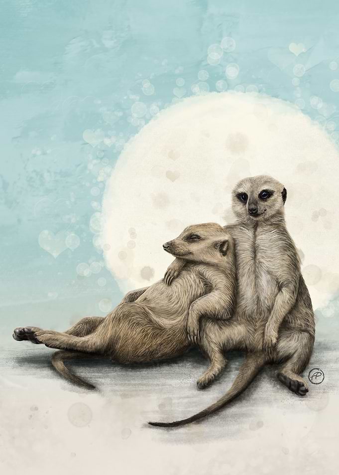 Happy Together Meerkats