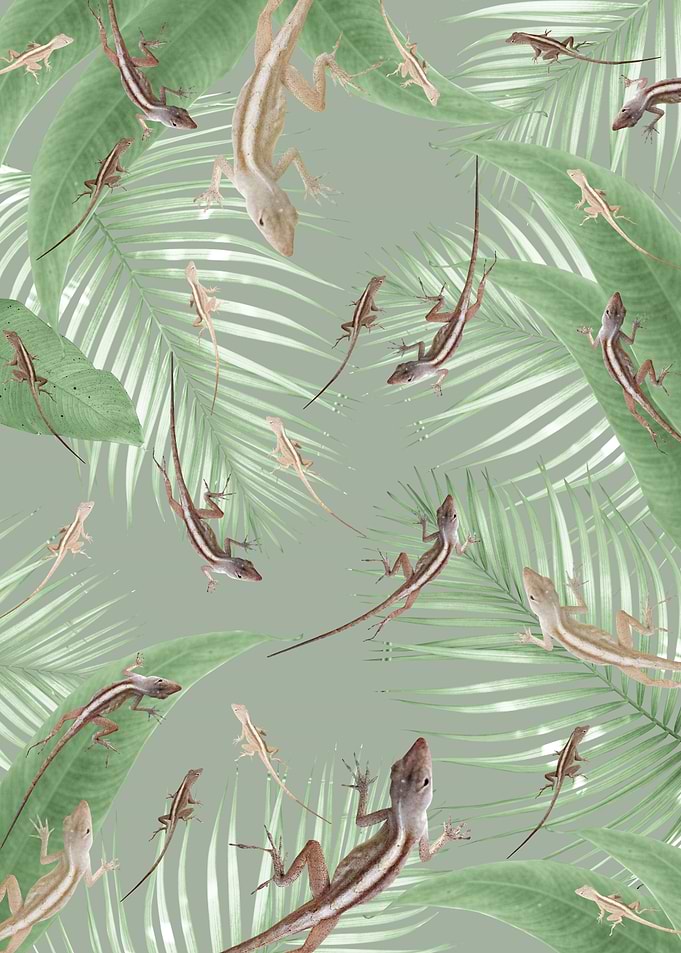 Gecko Jungle Dream 2