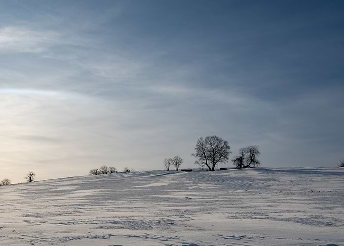 Snowy landscape