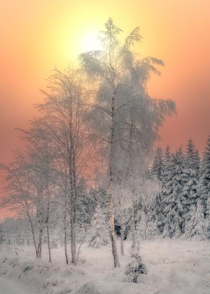 Winter Morning