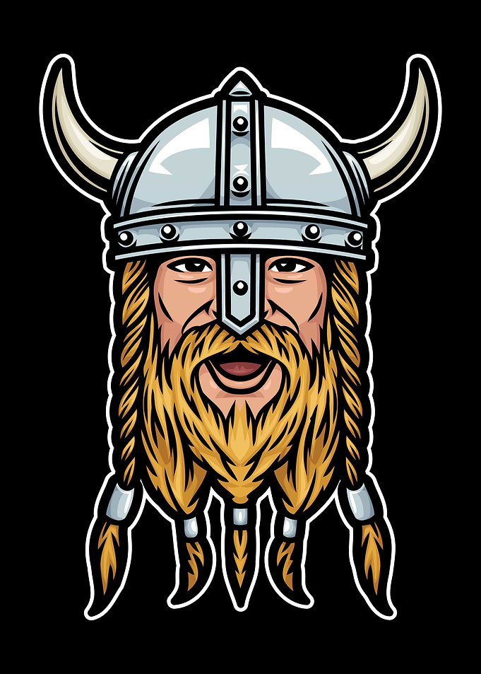 Viking 06