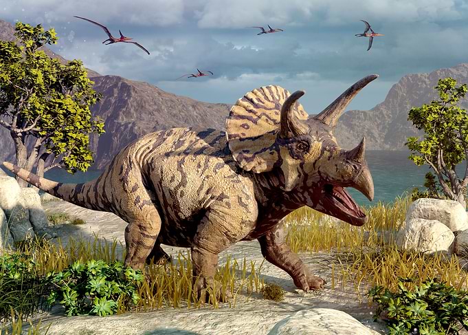 Triceratops dinosaur