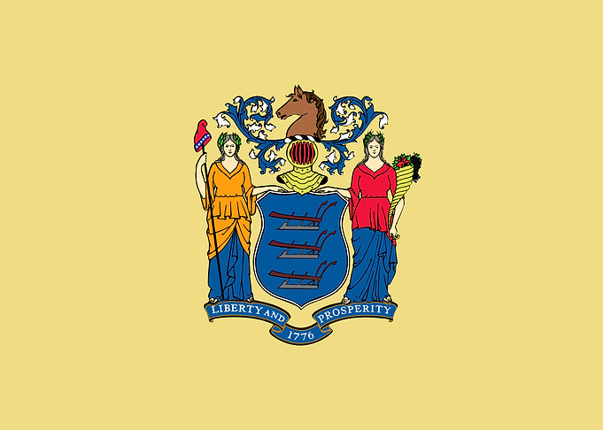 New Jersey State Flag