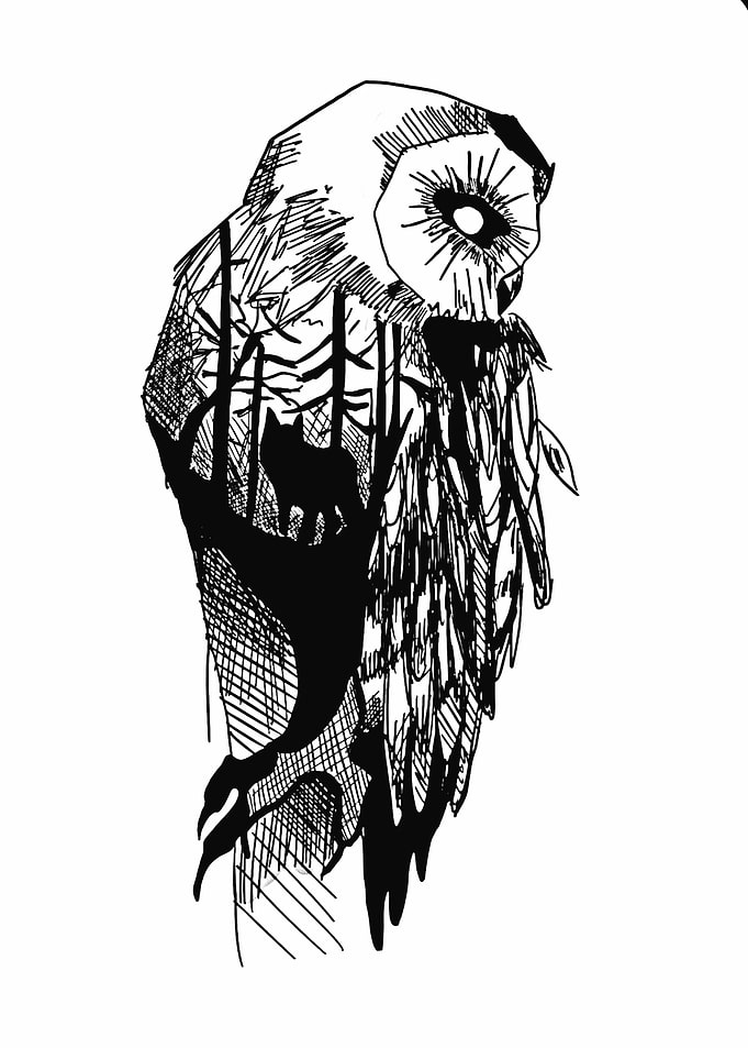 owl