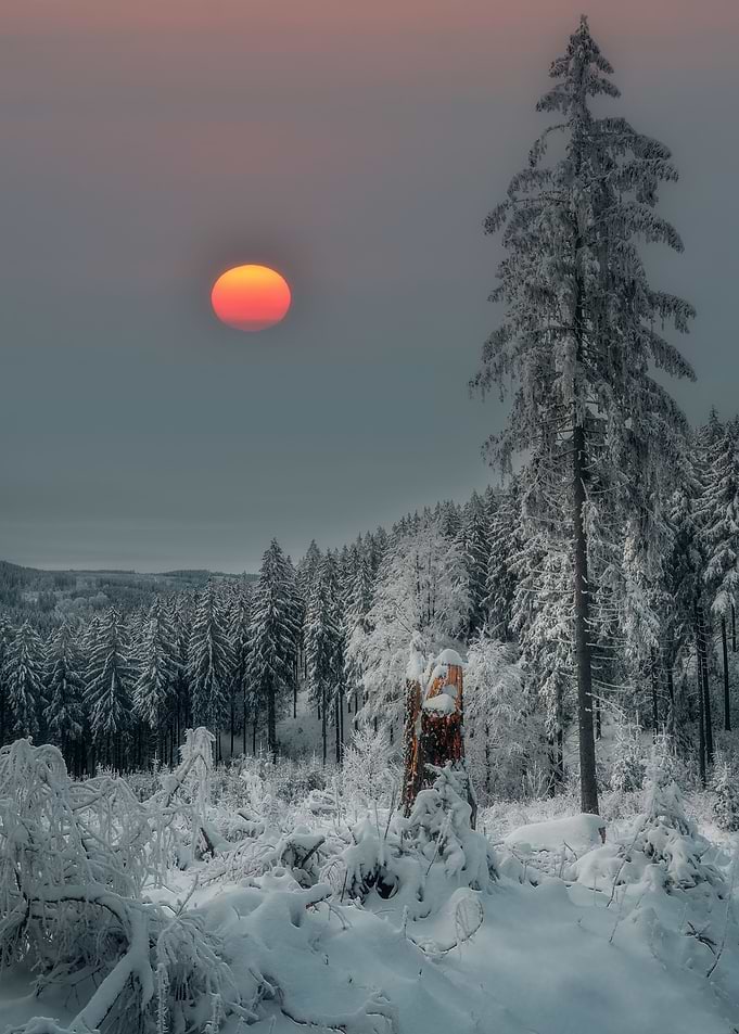 Winter Evening
