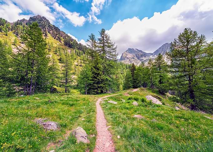 French Alps