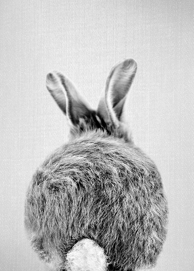 Baby Rabbit Tail BW