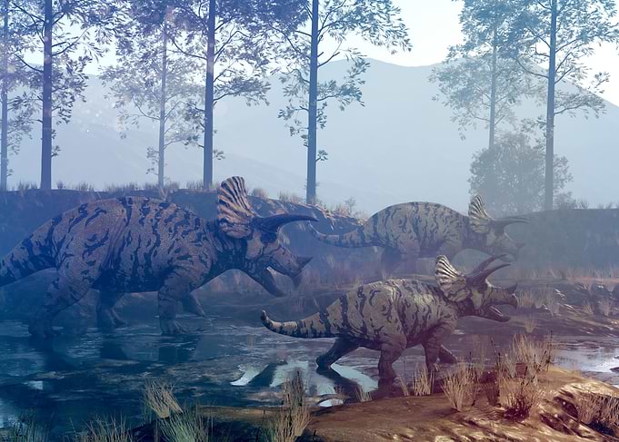 Triceratops dinosaur herd