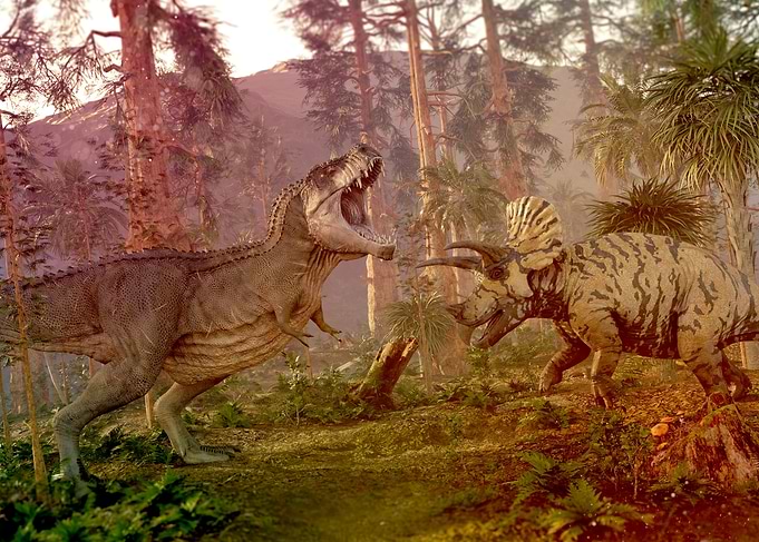 Triceratops vs T Rex