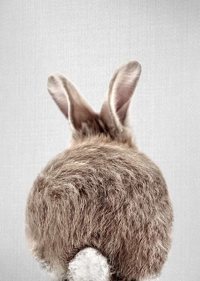 Baby Rabbit Tail Colorful