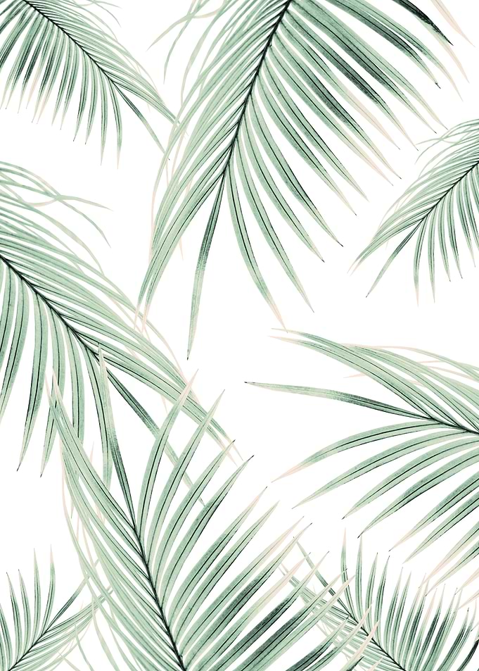 Green Palm Leaves Dream 3