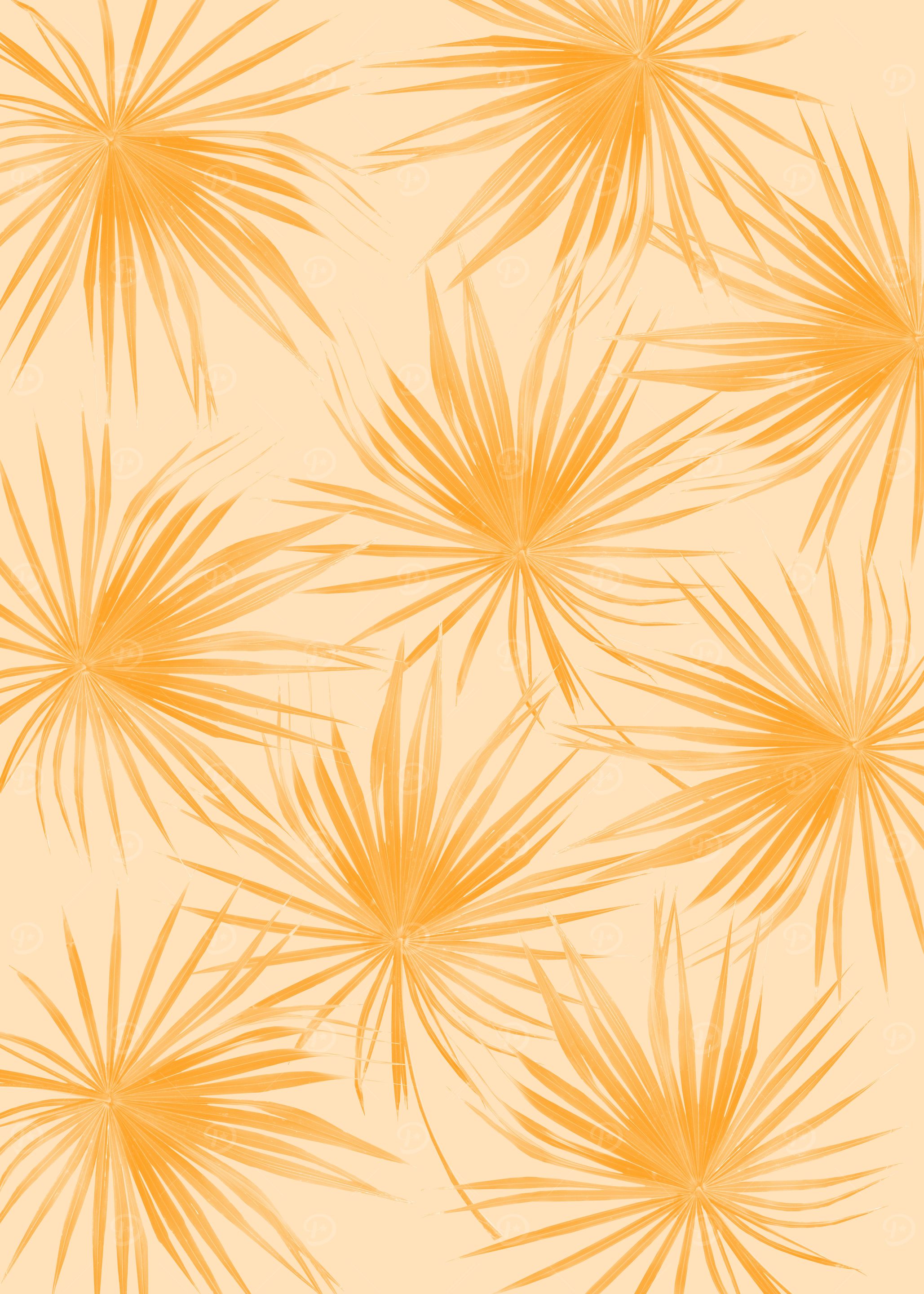 Dushi Fan Palm Bliss 2