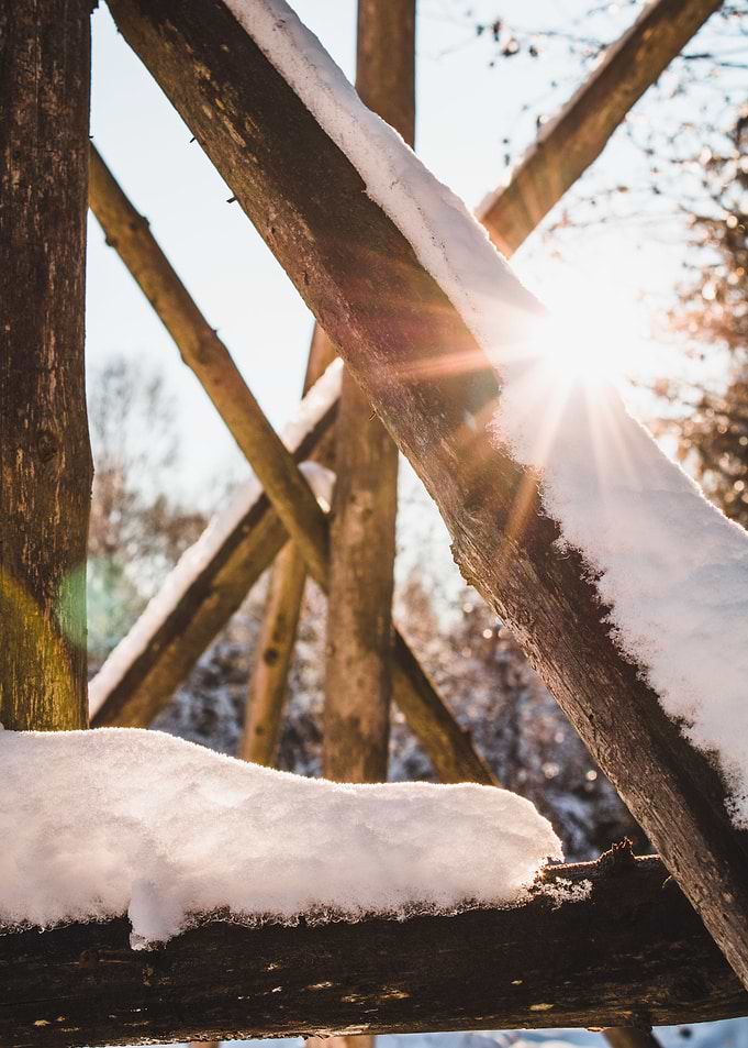 sun shining through wood