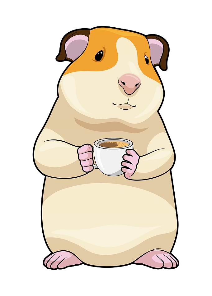 Guinea pig Coffee Cup
