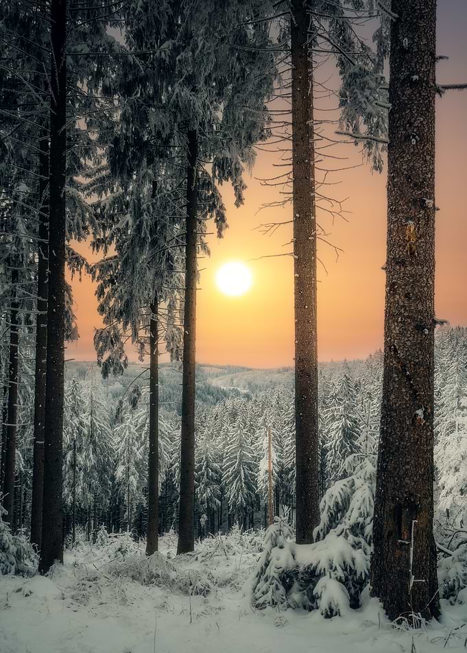 Winter Sun