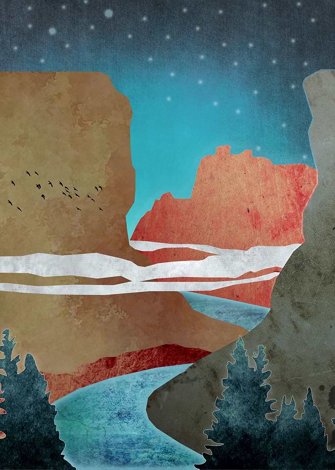 Canyon Birds
