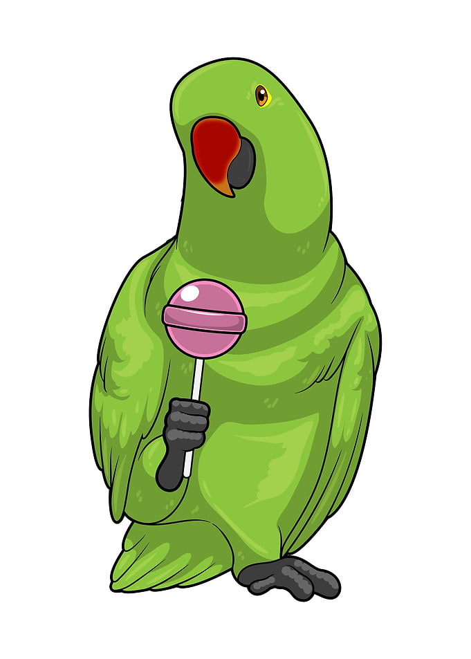 Parrot Lollipop