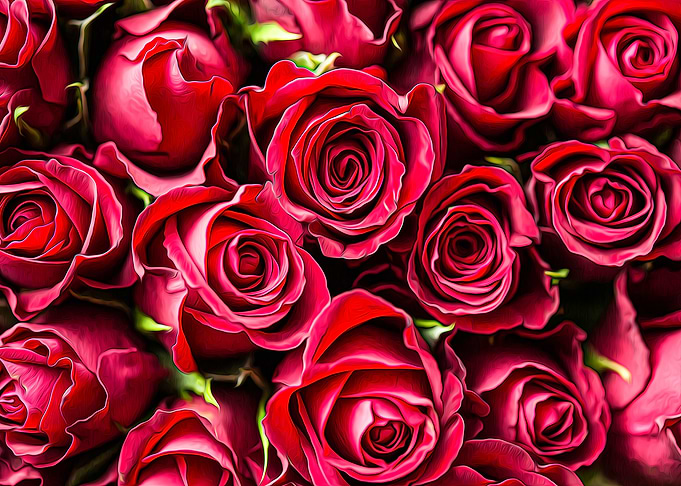 Rose