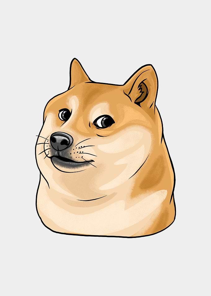 Shiba Inu Funny