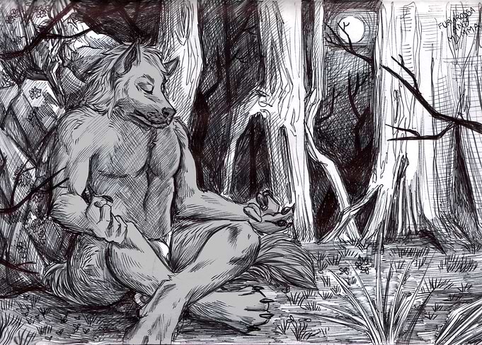 Meditating wolf
