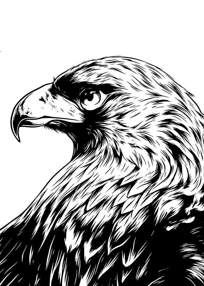 eagle