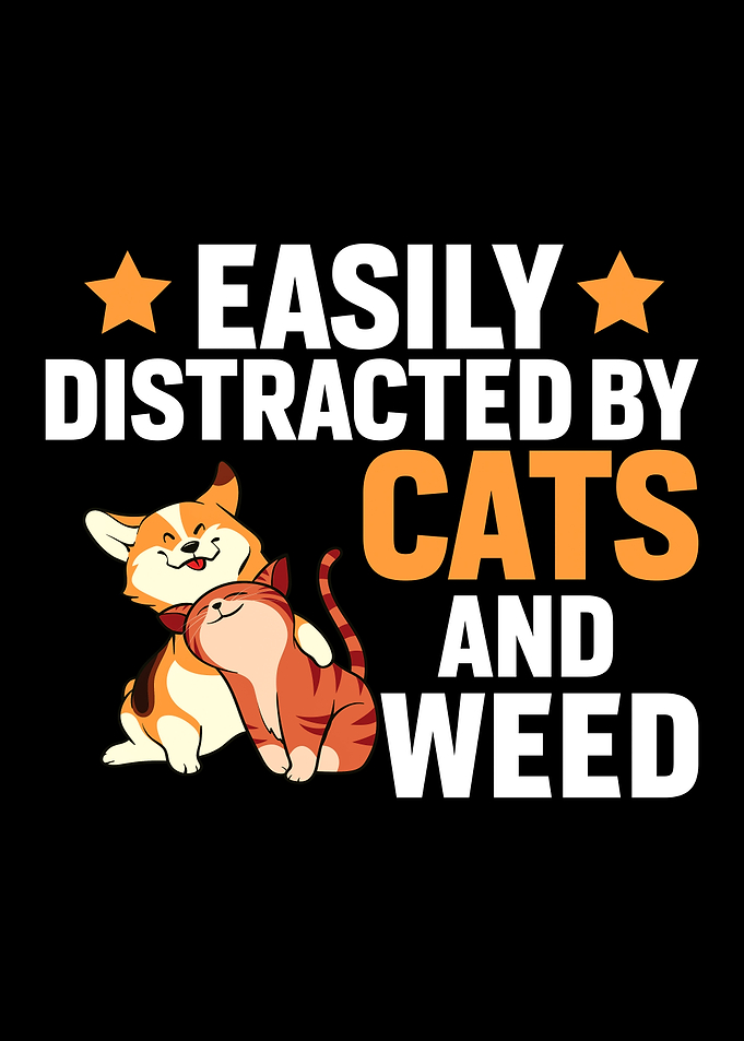 Cat Animal Cute