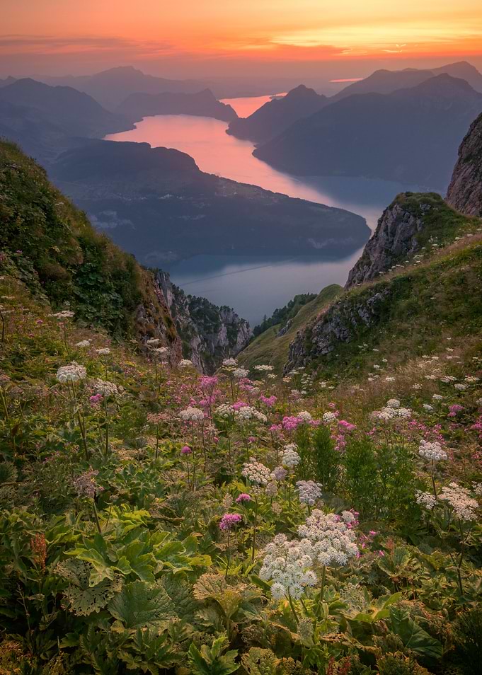 View Of Lake Lucerne