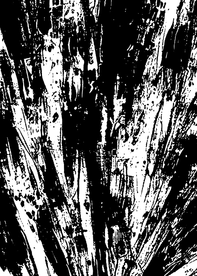 Black and White Abstract