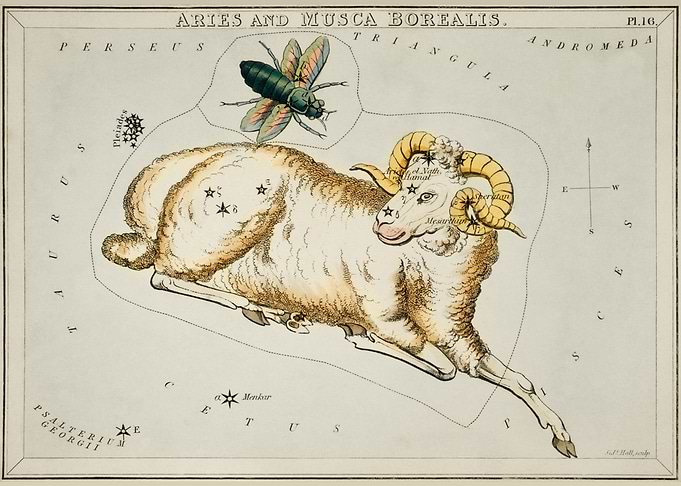 Aries Chart