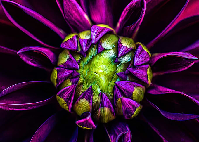 Flower
