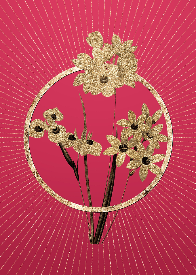 Corn Lily on Viva Magenta