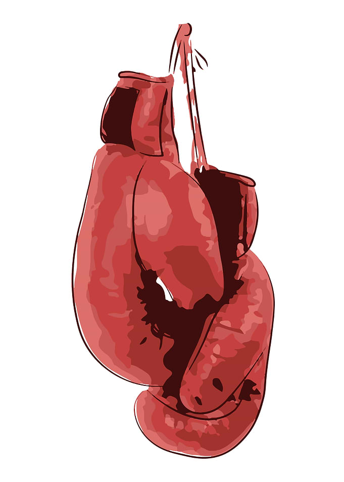 Boxing Gloves