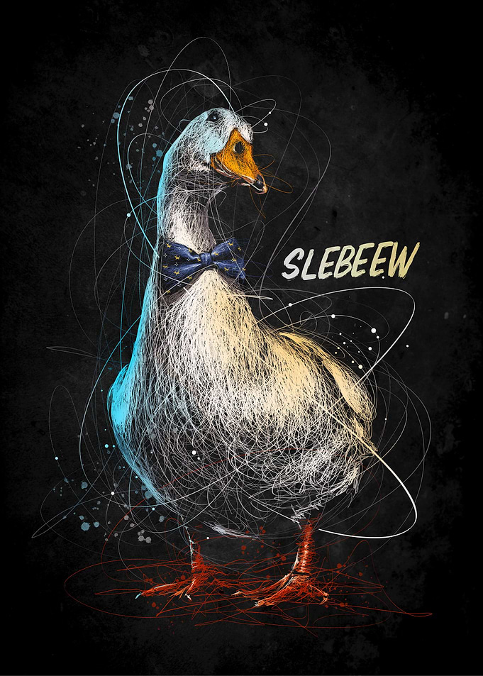 pathetic slebew duck art