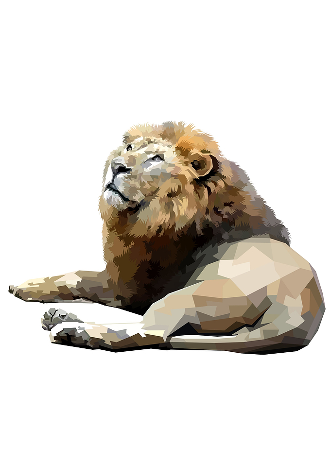 Lion lying down